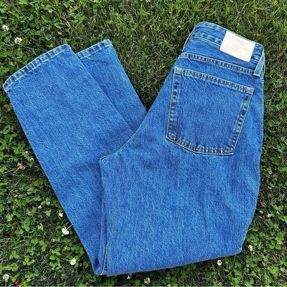 Everlane The Curvy Cheeky 90's Straight Leg High Rise Button Fly Jeans | size 29